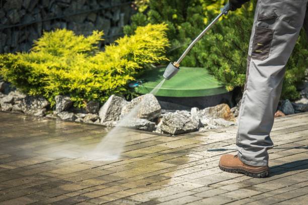 Best Gutter Cleaning  in Freeman, SD