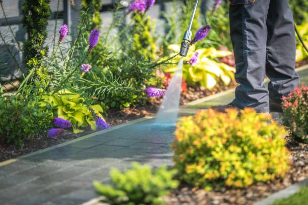 Best Sidewalk and Walkway Cleaning  in Freeman, SD