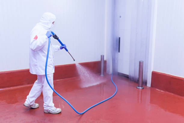 Best Warehouse Cleaning  in Freeman, SD