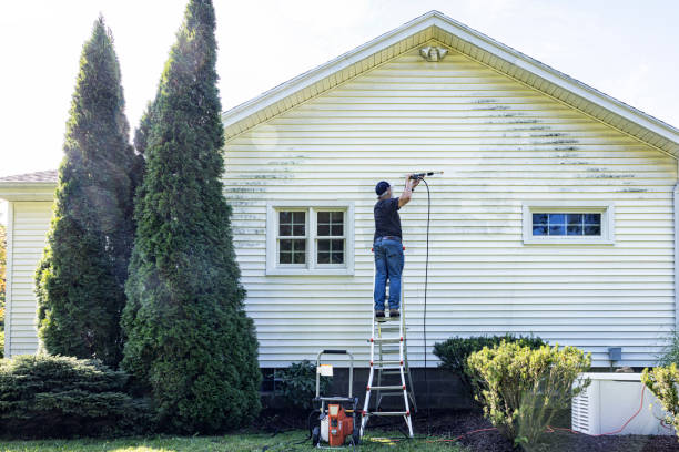 Best Building Exterior Washing  in Freeman, SD